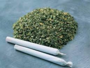 Կանեփը քաղել էր գյուղի մերձակայքից